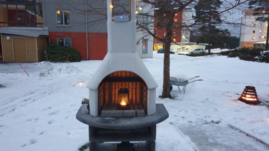 Vintermys